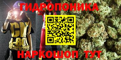 ГАЛЛЮЦИНОГЕННЫЕ ГРИБЫ Краснокаменск
