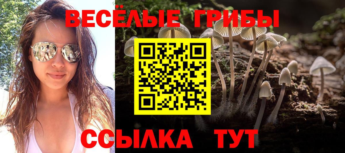Липецк  купить наркотик  Вход с VPN  Псилоцибиновые грибы мухоморы 